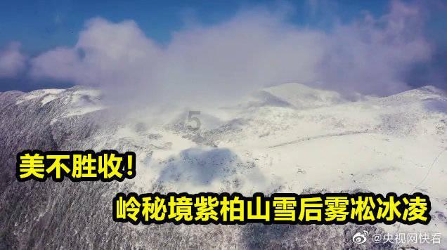 转错账怎么追回？游戏画面