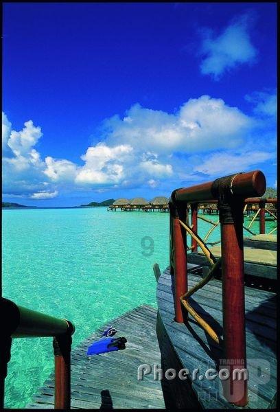 流星蝴蝶剑