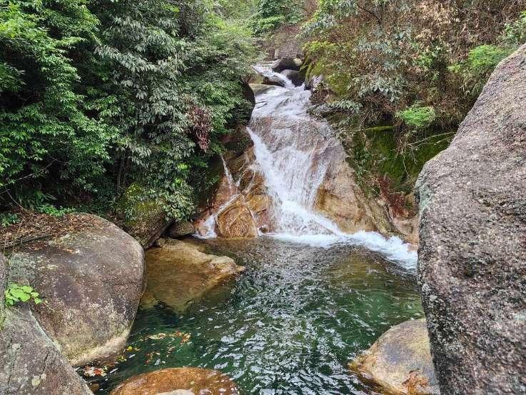 植物大战僵尸6