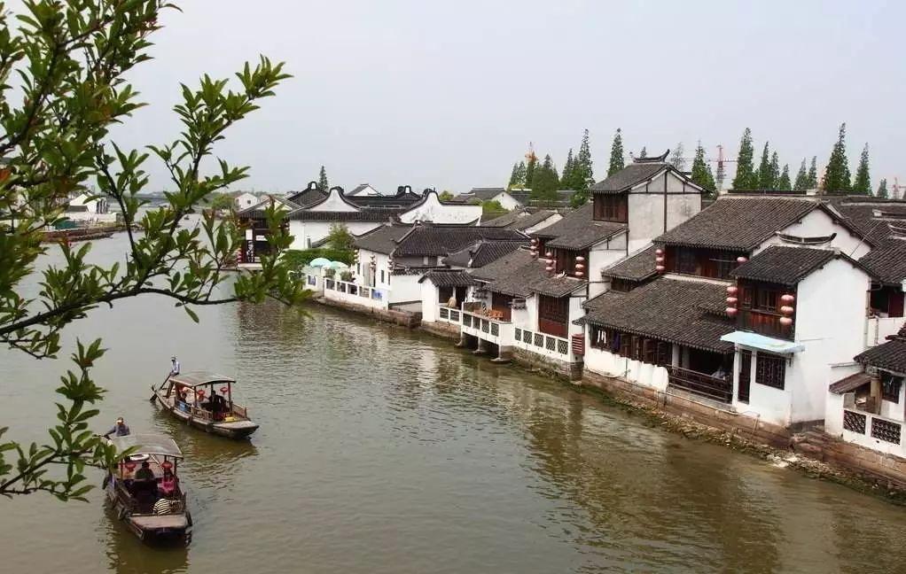 救援受困的萌兔